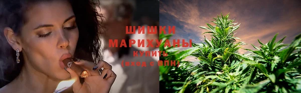 молекула духа Баксан