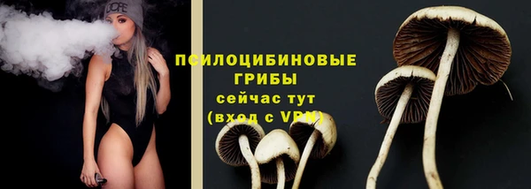СК Балахна