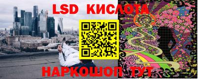 mdpv Новодвинск