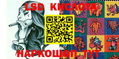 mdpv Новодвинск