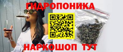mdpv Новодвинск