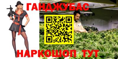 mdpv Новодвинск