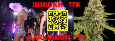 mdpv Новодвинск