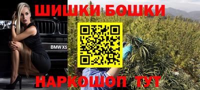 дмт Новозыбков