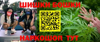 дмт Новозыбков