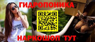 дмт Новозыбков