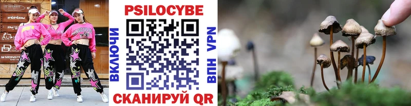 Галлюциногенные грибы ЛСД  hydra tor  darknet какой сайт  Черняховск 