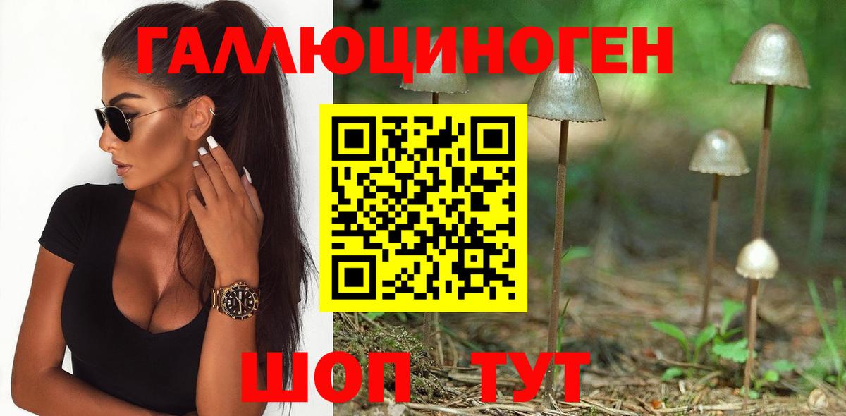 Галлюциногенные грибы мицелий Черняховск