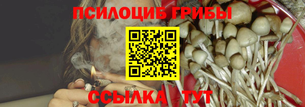 Псилоцибиновые грибы ЛСД  Псилоцибиновые грибы мицелий  Черняховск  Вход с VPN 